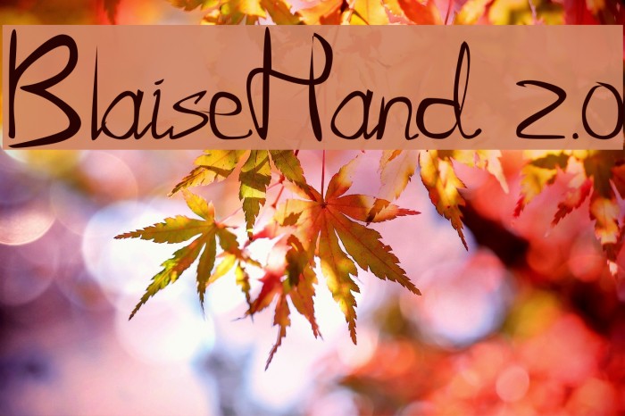BlaiseHand 2.0 Font examples