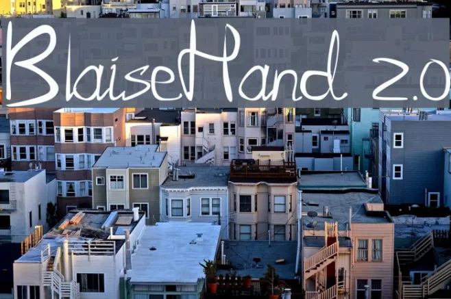 BlaiseHand 2.0 Example 3