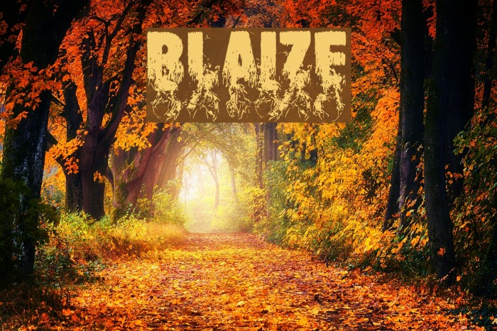 Blaize Font examples
