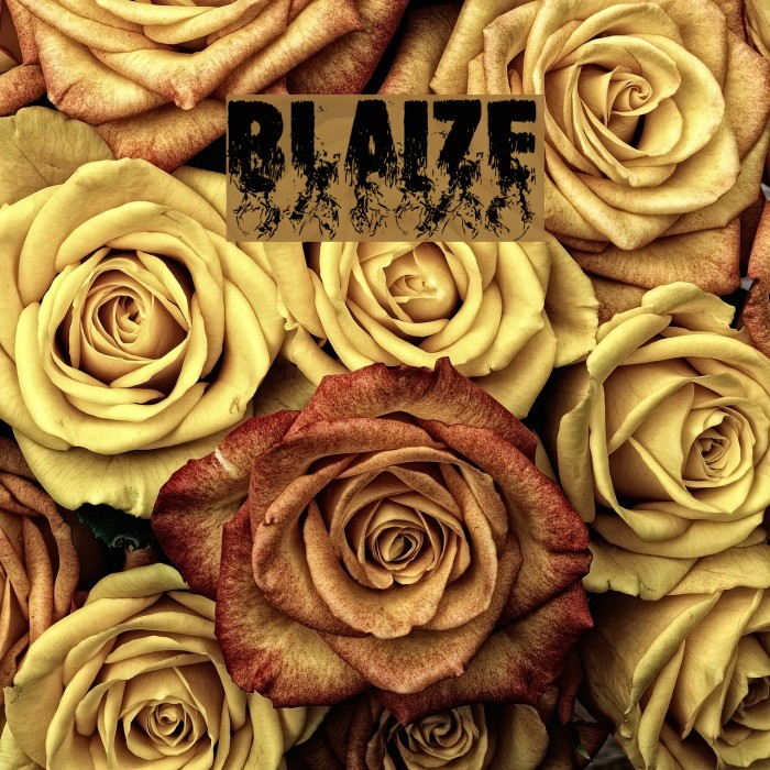 Blaize Font examples