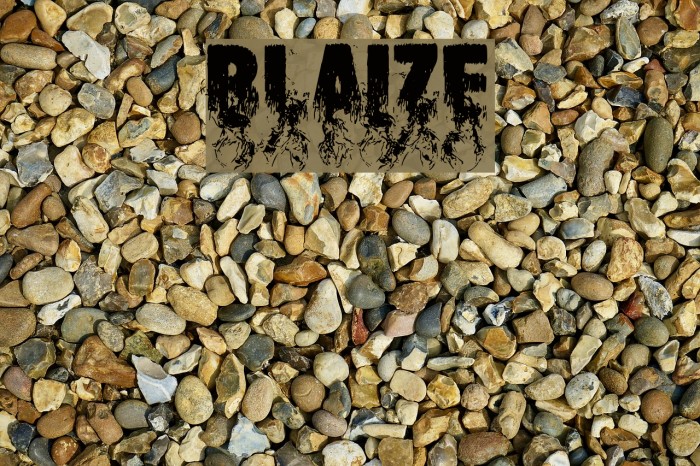 Blaize Example 2