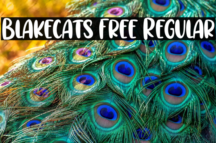Blakecats Free Regular Example 1