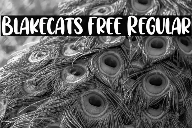 Blakecats Free Regular Font examples