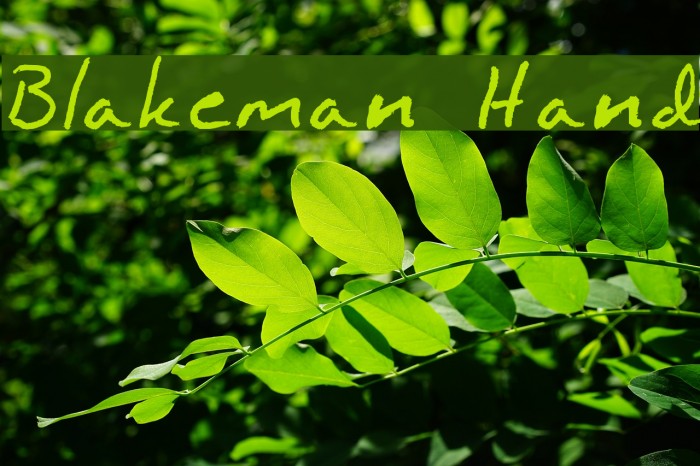 Blakeman Hand Font examples