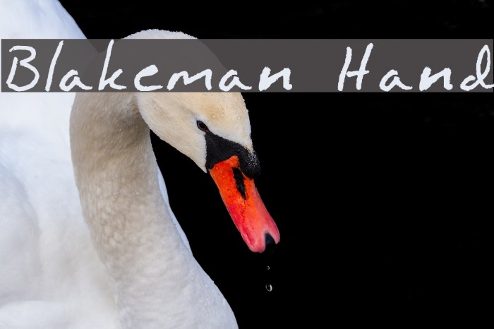 Blakeman Hand Font examples