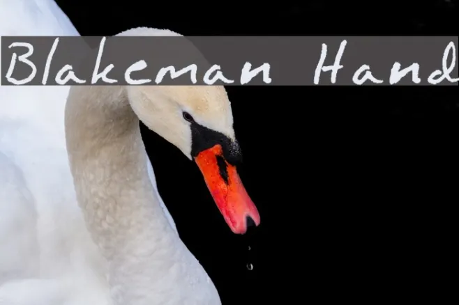 Blakeman Hand Example 2