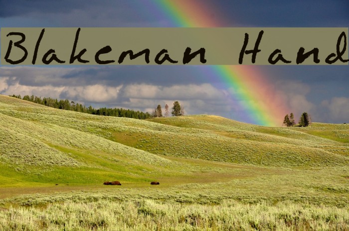 Blakeman Hand Font examples