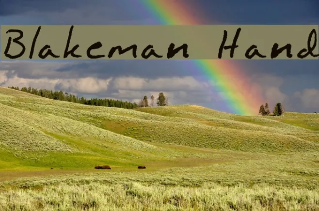 Blakeman Hand Example 3