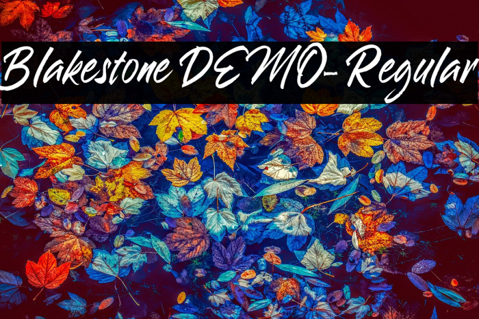 Blakestone DEMO-Regular Example 1