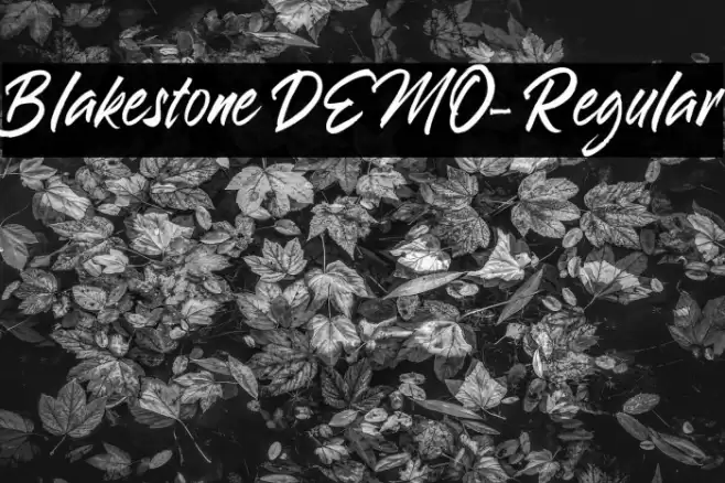 Blakestone DEMO-Regular Font examples