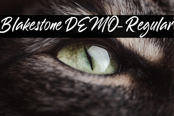 Blakestone DEMO-Regular Example 3