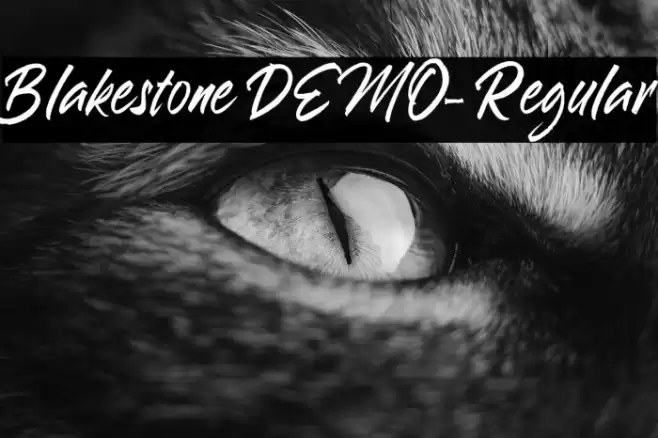 Blakestone DEMO-Regular Font examples