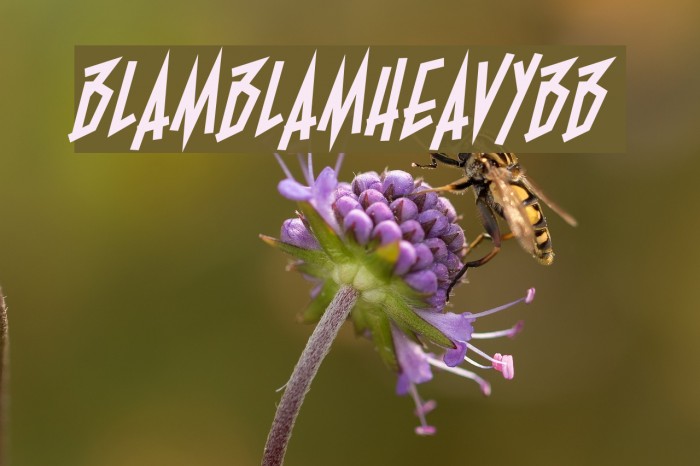 BlamBlamHeavyBB Example 1