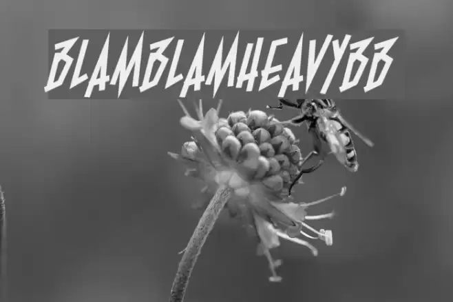 BlamBlamHeavyBB Font examples
