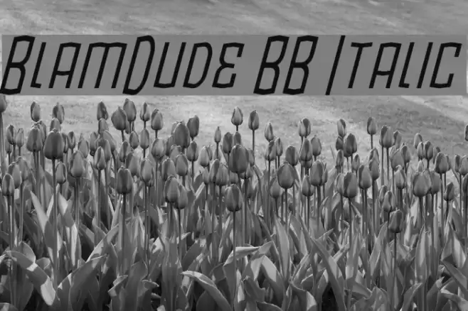 BlamDude BB Italic Font examples