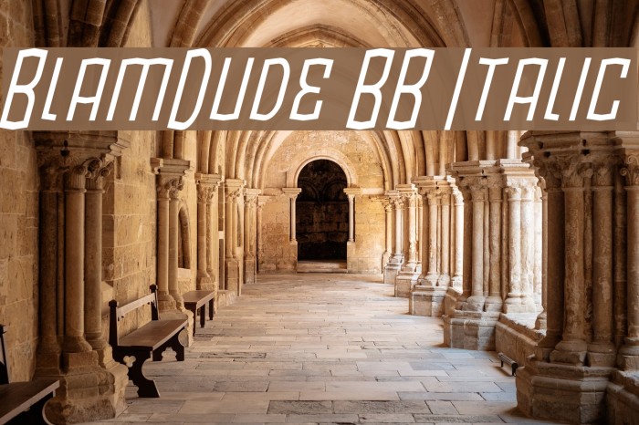 BlamDude BB Italic Example 2
