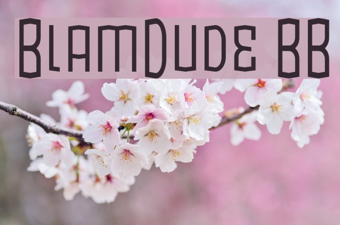 BlamDude BB Font examples