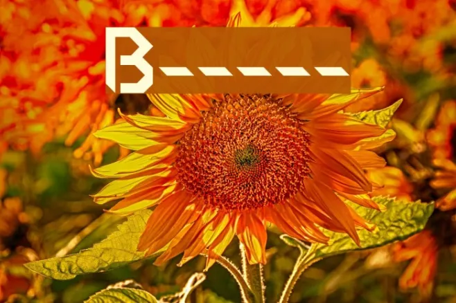 Blame-my-parents--- Example 2