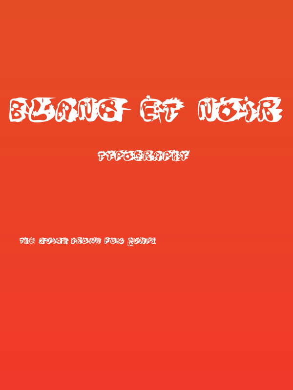 Blanc et Noir Poster