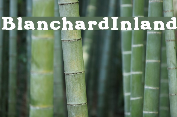 BlanchardInland لخطوط تنزيل examples