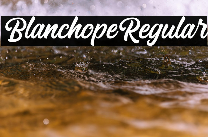 Blanchope Regular Example 1