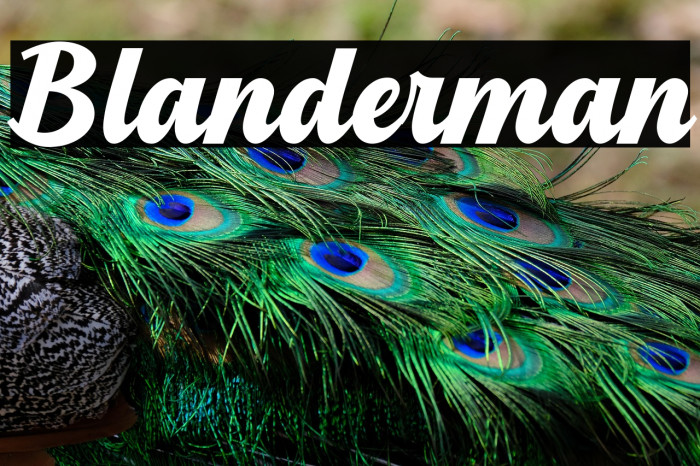 Blanderman Example 1