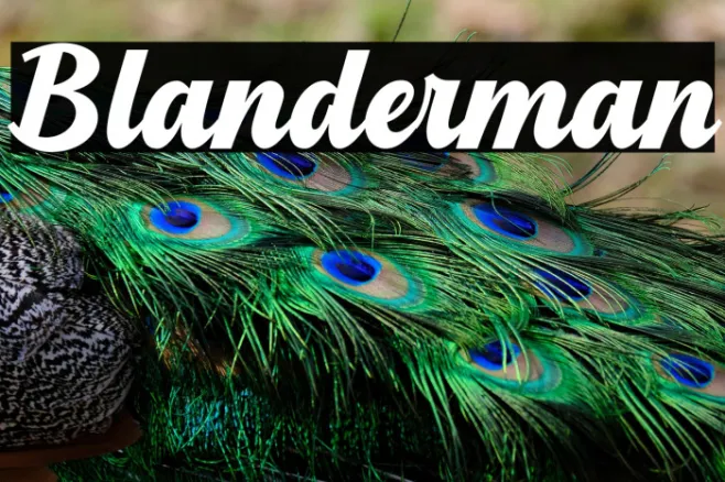 Blanderman Example 1