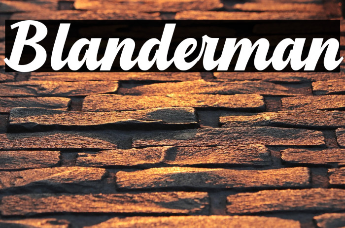 Blanderman Example 2