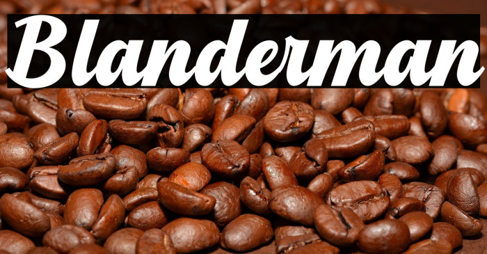 Blanderman Example 2