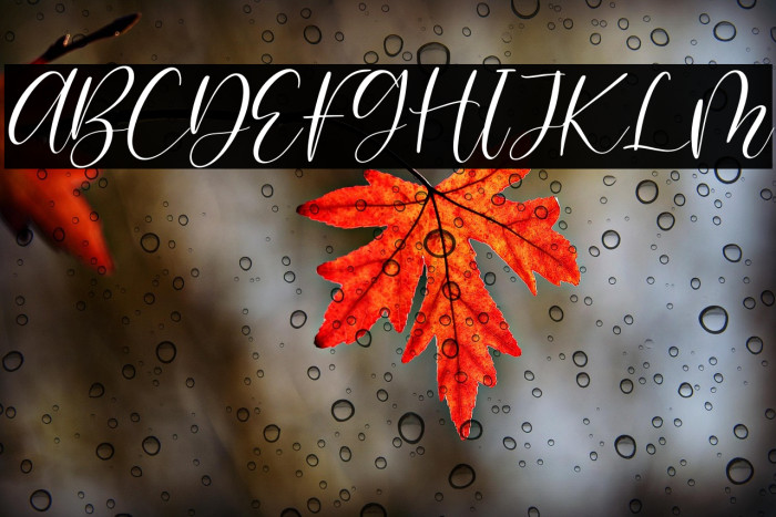 Blandita Italic Example 1