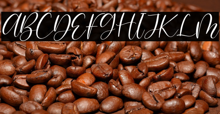 Blandita Italic Example 3