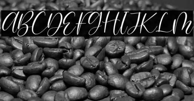 Blandita Italic Font examples