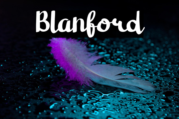Blanford Example 1