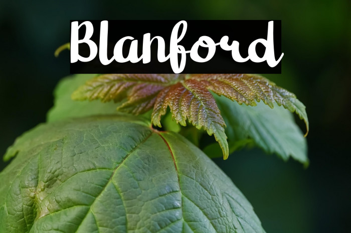 Blanford Example 2