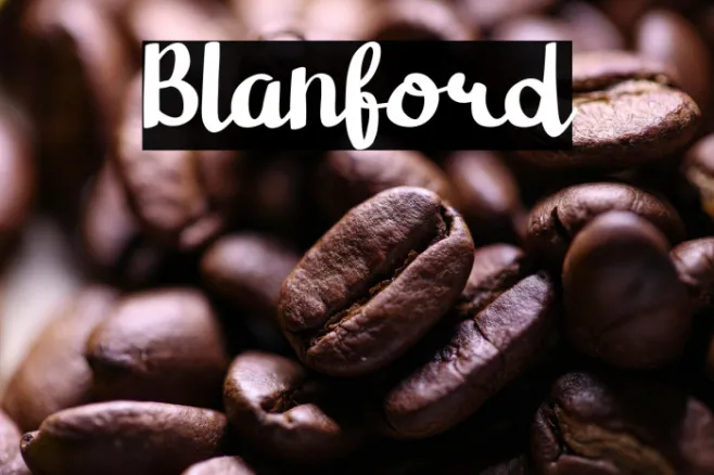 Blanford Example 3