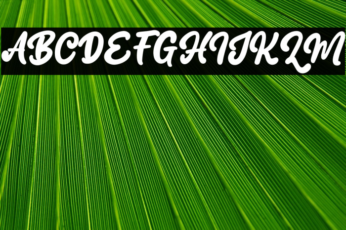 Blang Haloc Example 3