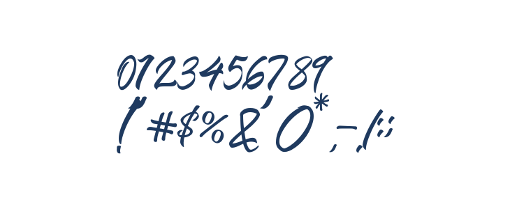 BlangkonScript Other Characters