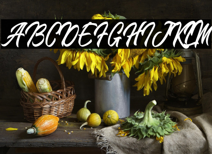 BlangkonScript Example 1