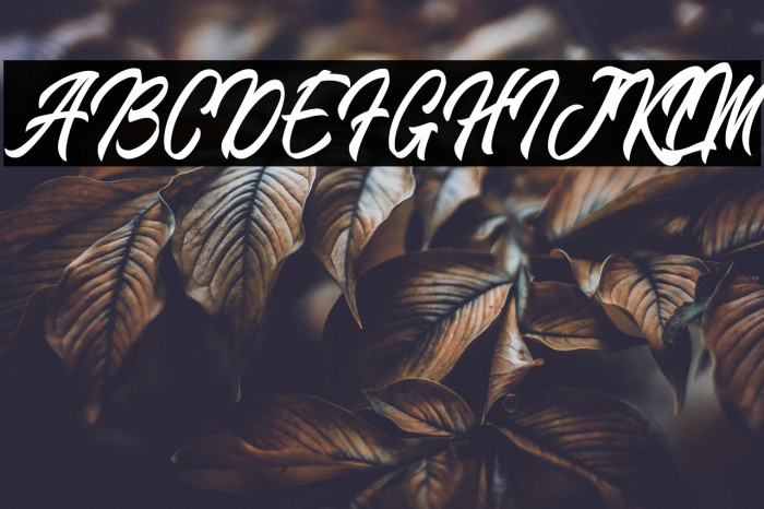 BlangkonScript Example 3