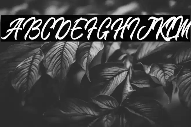 BlangkonScript Font examples