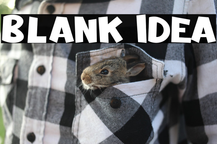 Blank Idea Example 3