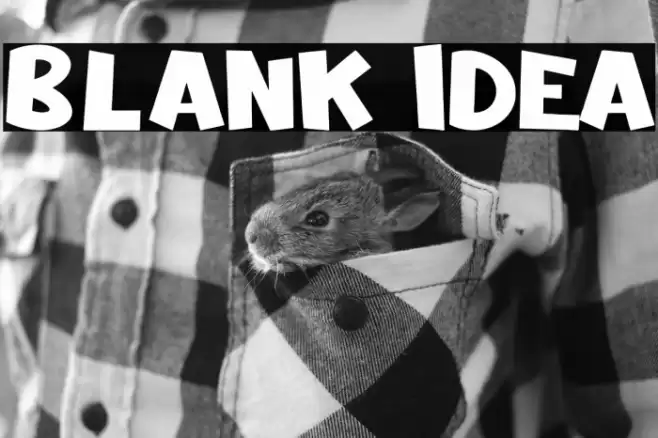 Blank Idea Font examples