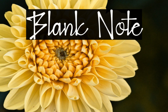 Blank Note Example 3