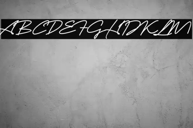 Blank Script Font examples