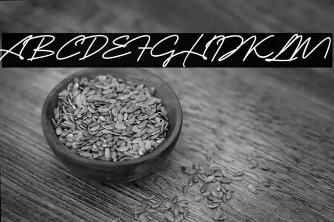 Blank Script Font examples