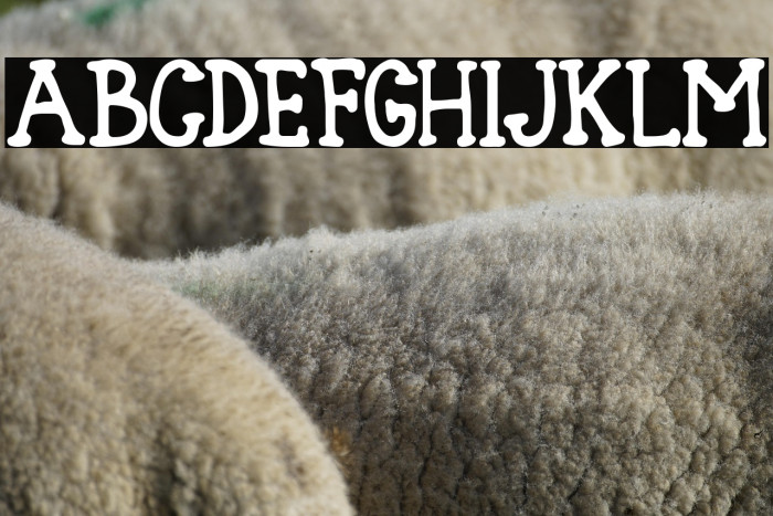 Blank Type Nol Example 1