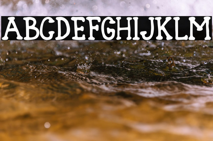 Blank Type Nol Example 1