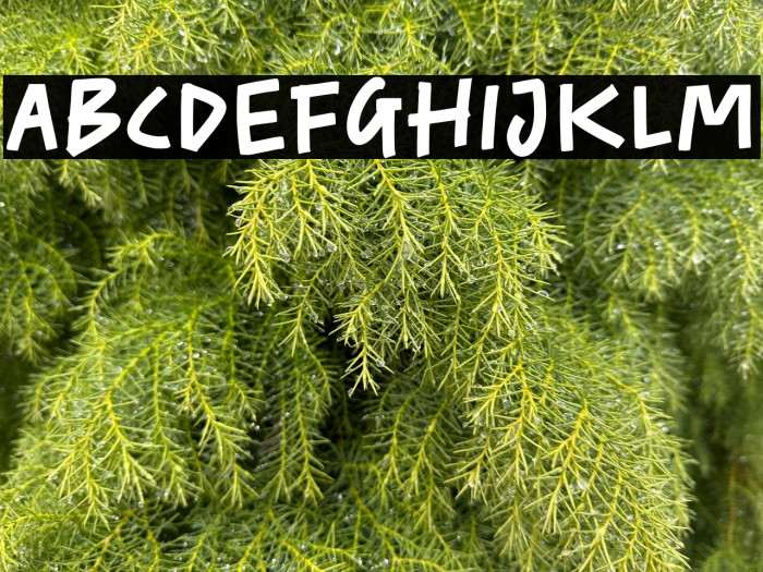 BlankMomentDEMO Example 1