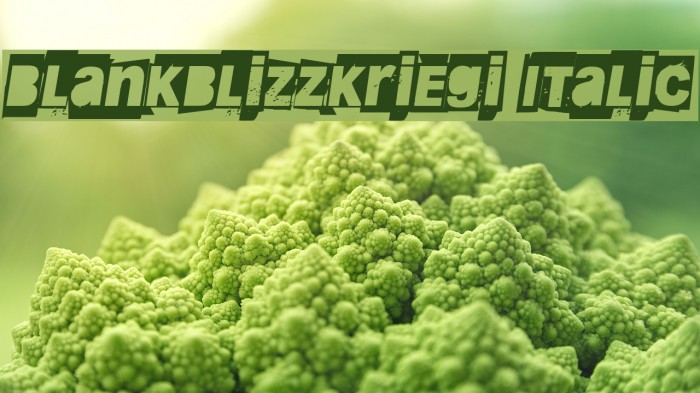 Blankblizzkriegi Italic Example 1