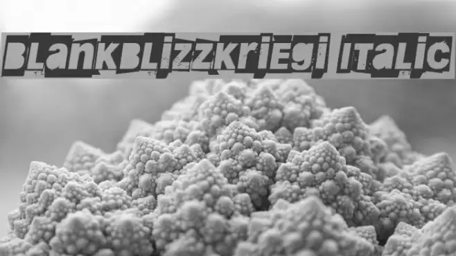 Blankblizzkriegi Italic Font examples